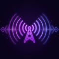 360 Campaigneer radio advertising